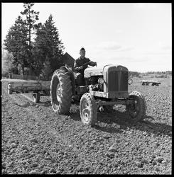 Jordbruk. På våren.