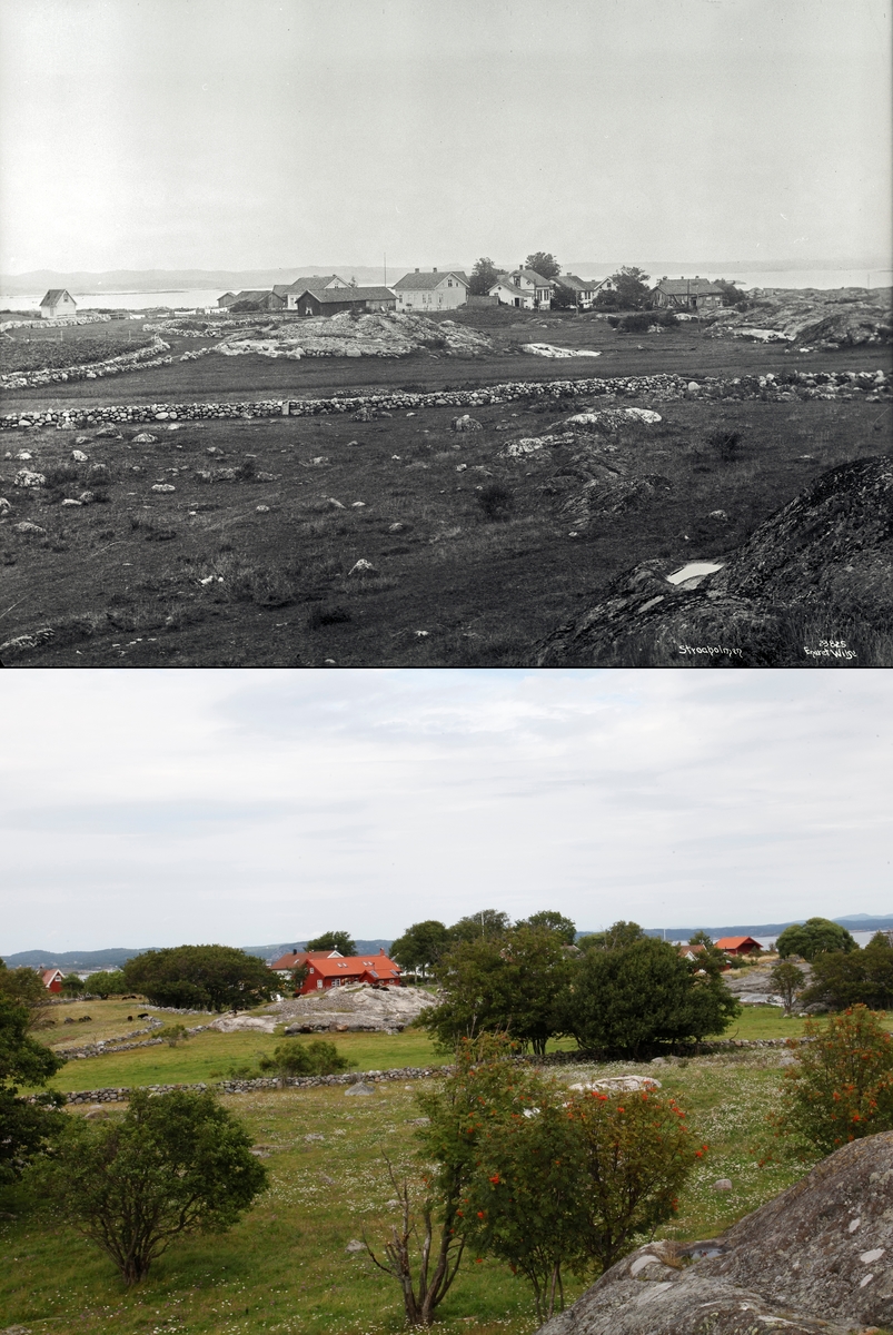 Refotografering. Et gårdstun med steingjerde og vegetasjon på øya Stråholmen, Kragerø. Fotografert 1923 og 2015.