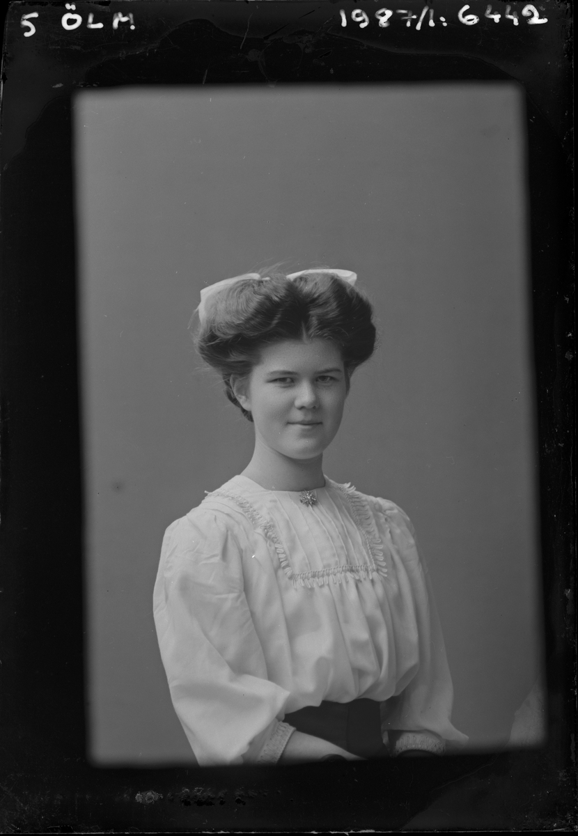Porträtt från fotografen Maria Teschs ateljé i Linköping. 1910.
Beställare: Aina Löwendahl.