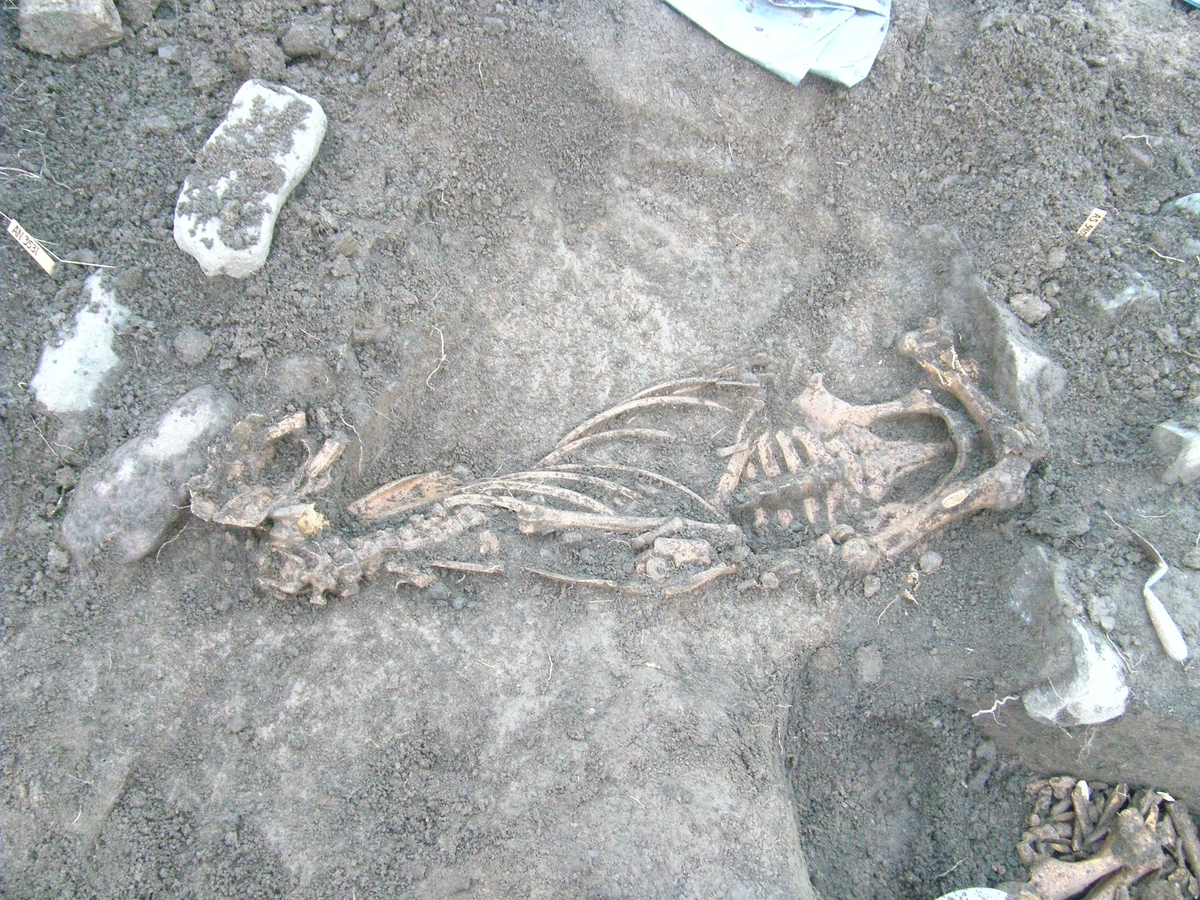 Arkeologisk slutundersökning, A5837 hästgrav och stolphål, Övergnista, Fyrislund, Uppsala 2010