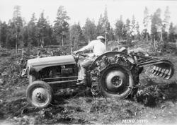 Stubbriving med grabb