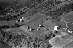 Flyfoto: Jevninggårdene og Alstad i Bardu 1956