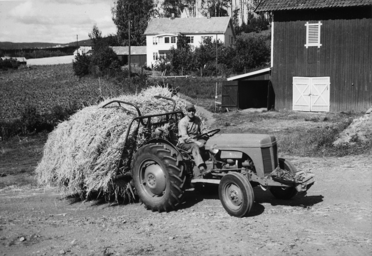 Opsahl, store,  79-1, Vang H. Slåttonn, innkjøring av høy, traktor, ca. 1955. Syver Opsahl, f. 1915 på traktoren.