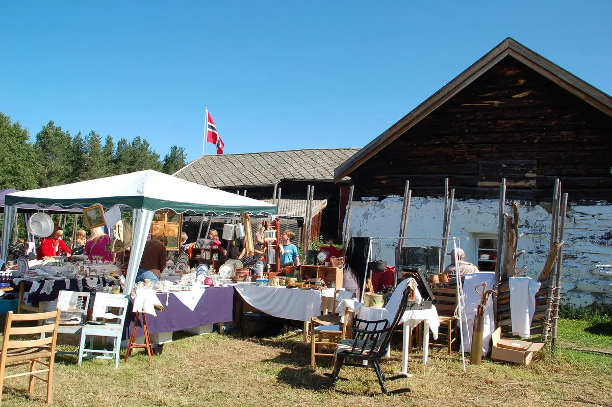 markedsdag dølmotunet