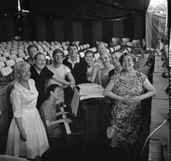 Sommerteatret i Frognerparken: Ut i parken opp i trærne. 196
