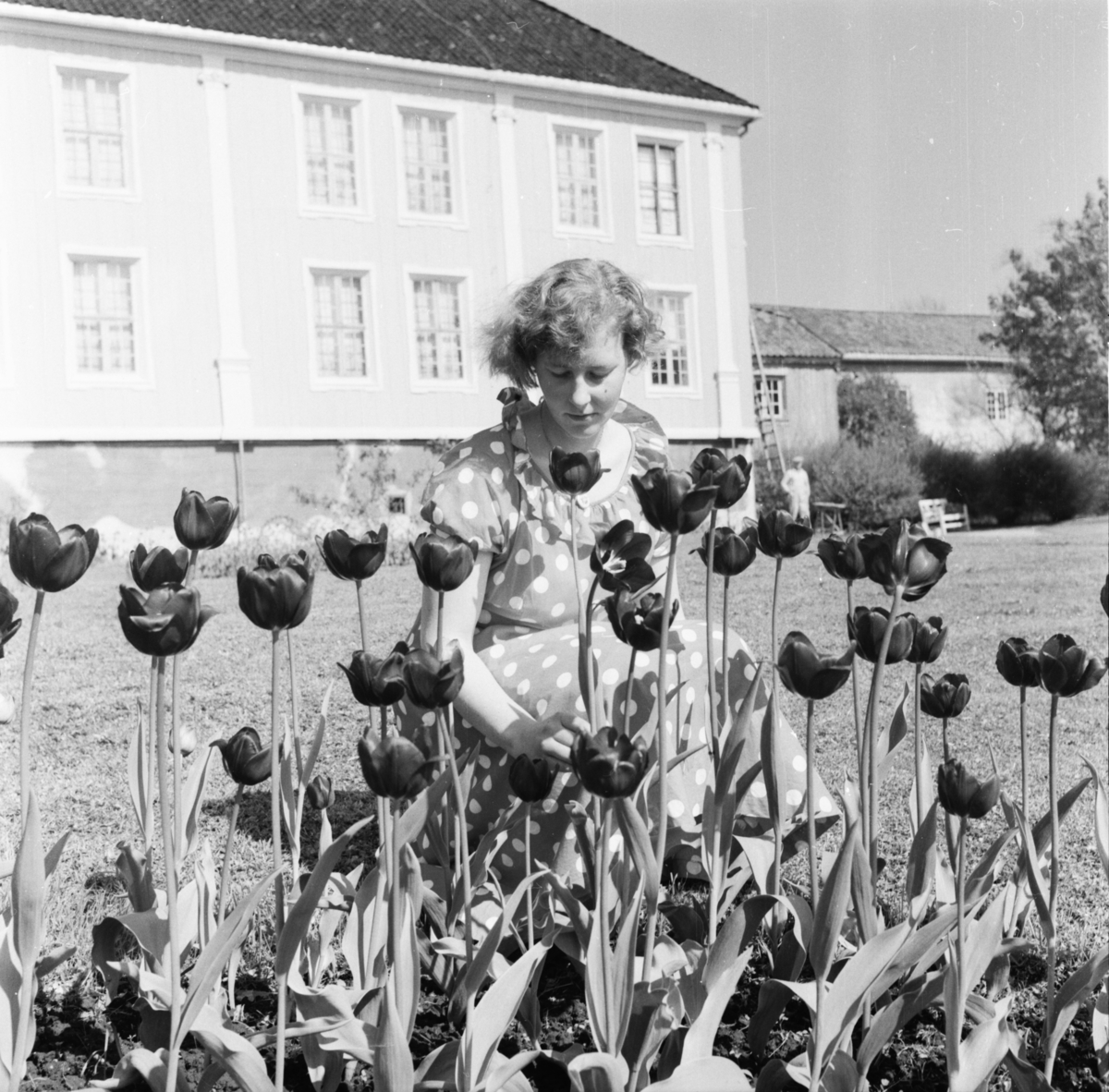 Vardens arkiv. "Anne Matti Hagen i Brekkeparken" 25.05.1954. Fotograf Haakon Mollestad (1919-1996) er fotografen.