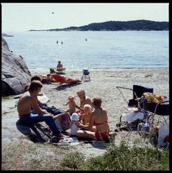 Hydrostranda, strandliv.