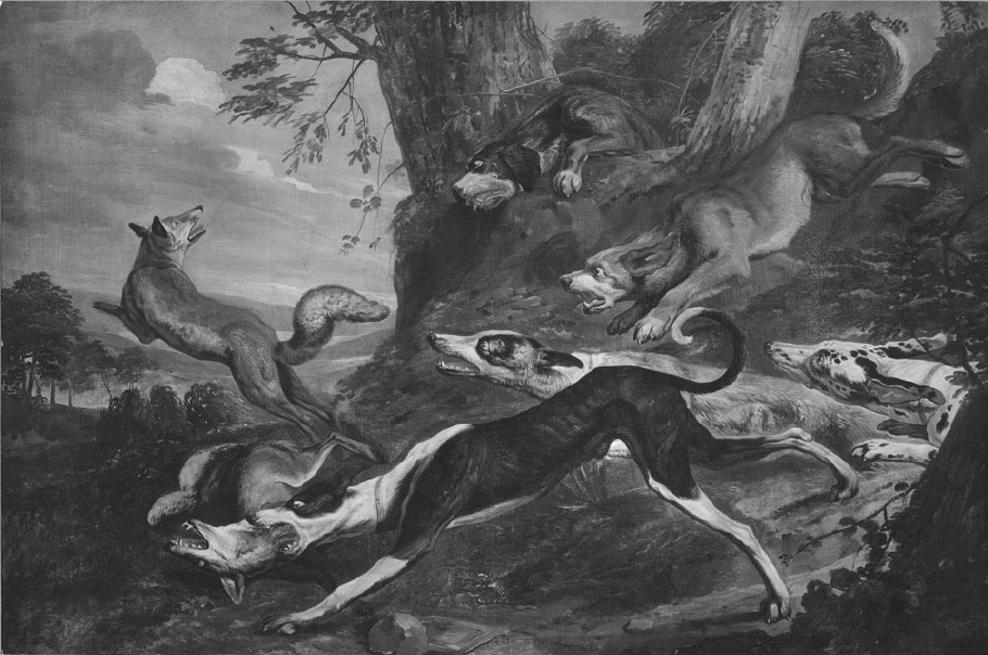 Fem hundar av skilda raser jaga två rävar ur ett skogsbryn. I förgrunden har en hund fått ikull den ena räven, medan den andra med ett språng flyr mot det mera öppna lummiga landskapet till vänster. Blå himmel med skära och blågrå moln.