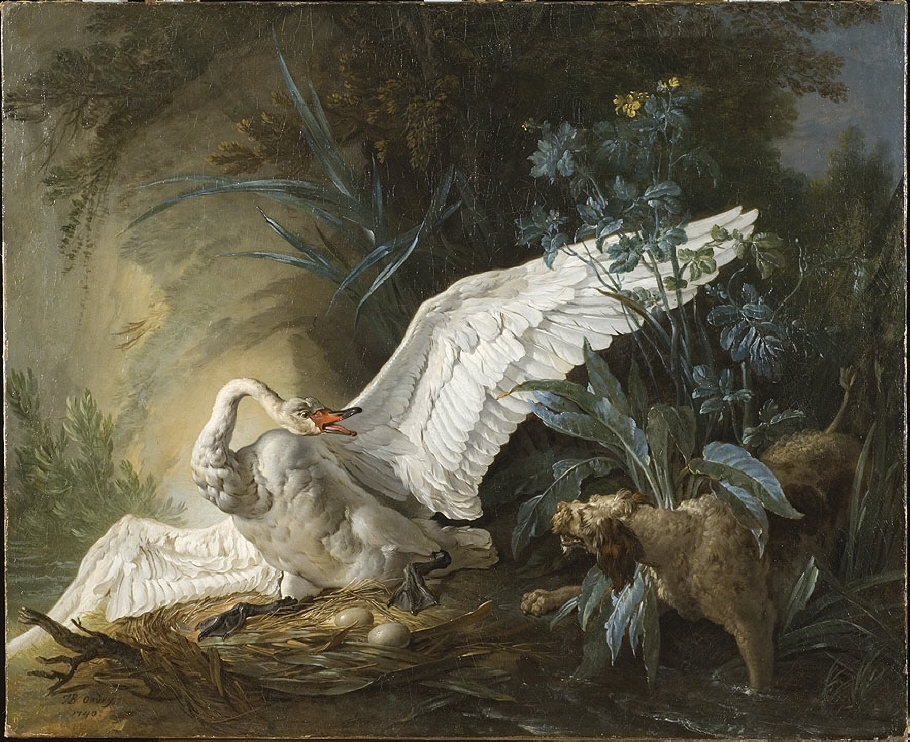 I mitten av målningen en vit svan med utbredda vingar och krökt hals. Svanen sitter i ett rede där två ägg är synliga. Svanens huvud och öppna näbb vänder sig aggresivt mot den hund som i bildens högra hörn mellan några blad närmar sig nästet. I bakgrunden  varierad vegetation.