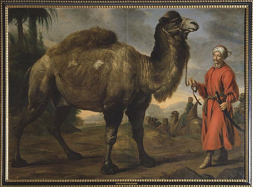 Målningen domineras av en enpucklig kamel, erövrad av greve Nils Bielke i Ungern 1687 och förd till Sverige 1688, som till höger hålles i band av en samtidigt tillfångatagen turk Schabbasch, 1691 döpt i slottskyrkan med namnet Nils. Denne är iklädd vit turban och röd dräkt samt bär kroksabel. I bakgrunden till vänster ett trädbevuxet bergsparti, i mitten och till höger utblick över landskap, i vilket en karavan är på väg bort. Delvis molnig nedtill rodnande himmel. [...]