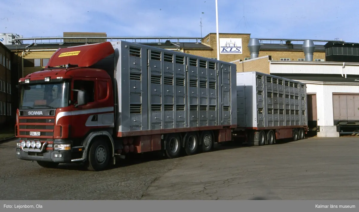 280 grisar från Skåne transporteras till Scan KLS.