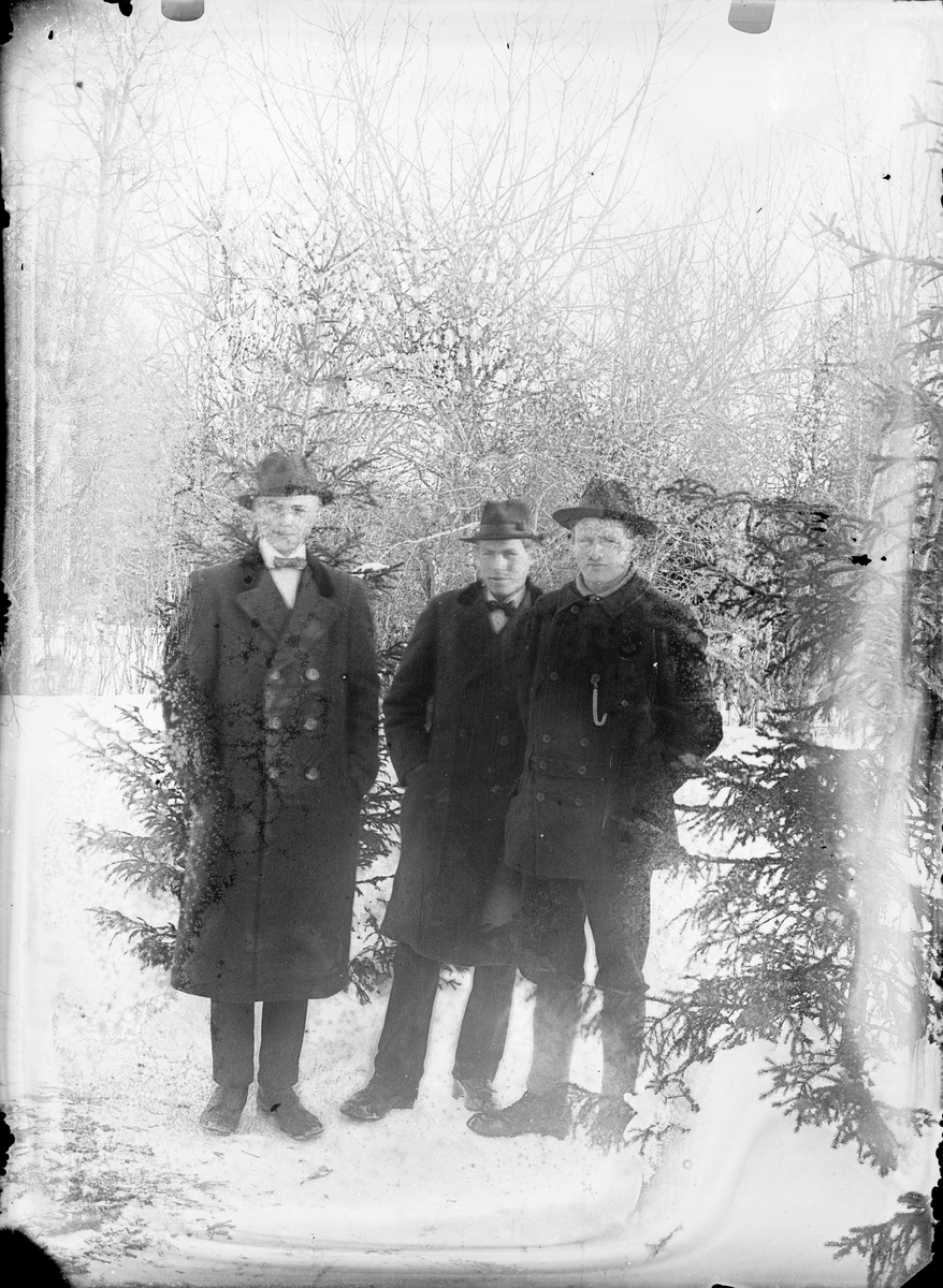 Tre män i trädgård, Alunda, Uppland
