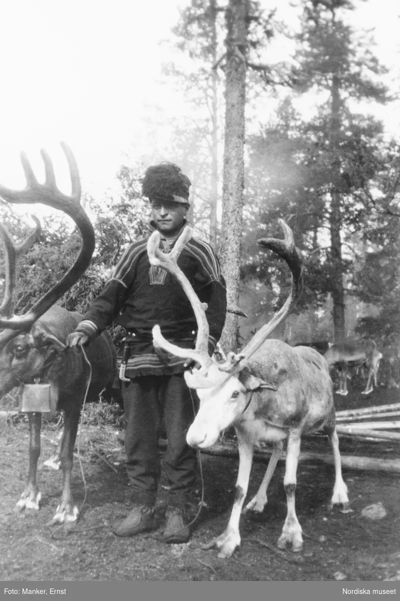 Inger Seväs äldste son Johan Tomas (född 1907) med renar.