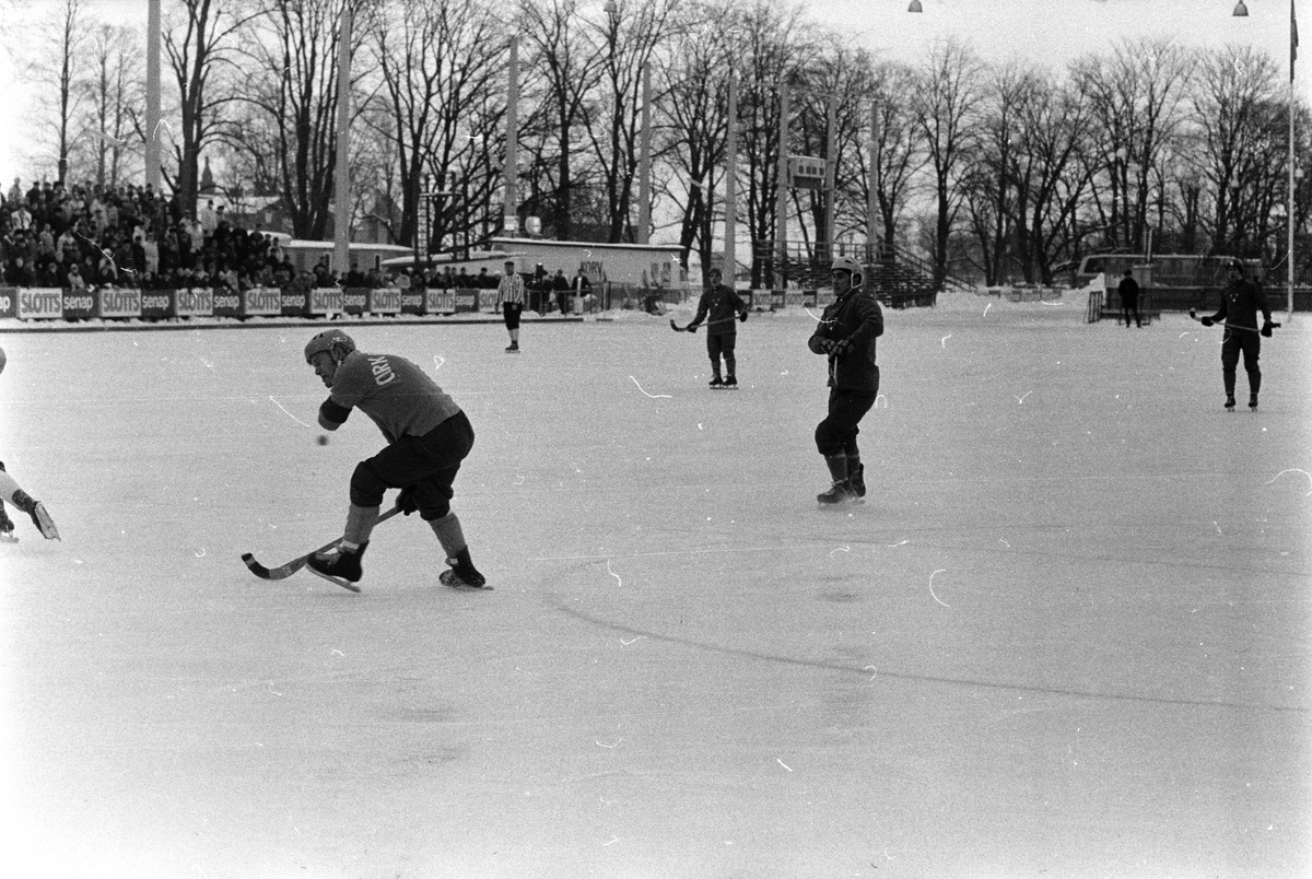 Bandy Sirius-Bollnäs, Uppsala, 1969 - Upplandsmuseet / DigitaltMuseum