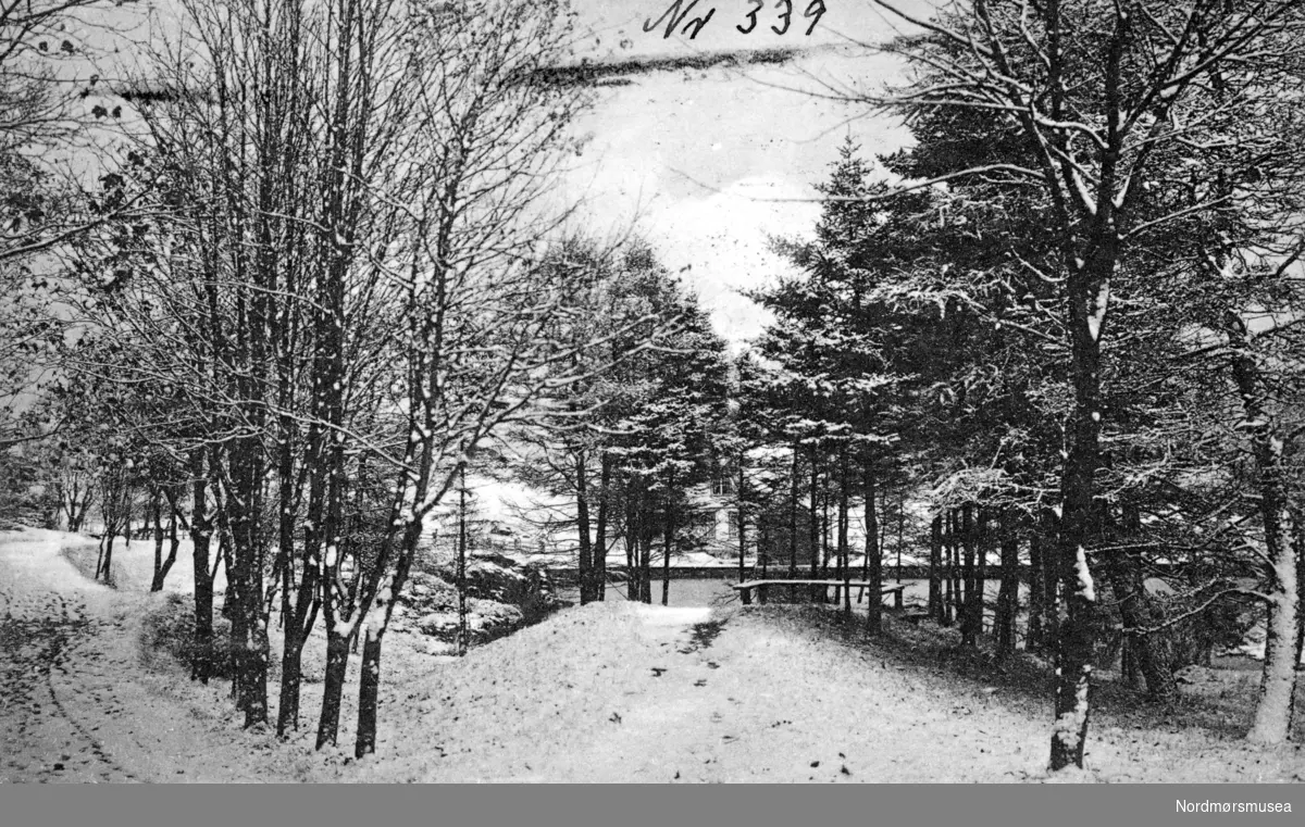 ";37"; Postkort med vintermotiv fra Rolighetsdammen, eller Vanndamman som det heter i dag. Postkortet som er utgitt av Georg Sverdrup kan trolig dateres til omkring 1910. Fra Nordmøre museums fotosamlinger. Reg: EFR
