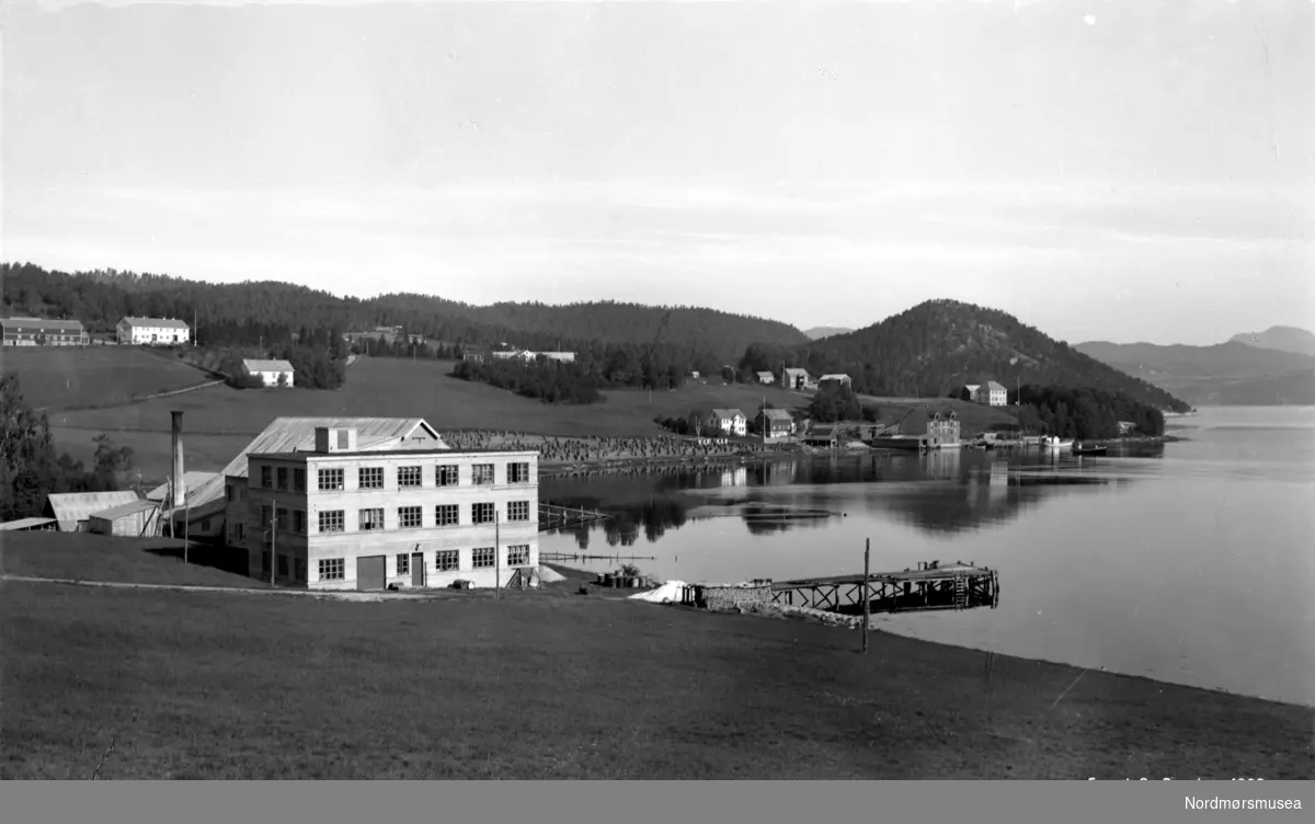 Postkort med motiv fra Angvik i Gjemnes kommune. Postkortet er datert 1938. Fra Nordmøre museums fotosamlinger. Reg: EFR
