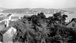 Havna og Nordlandet sett fra Kirkelandet i Kristiansund. Fra