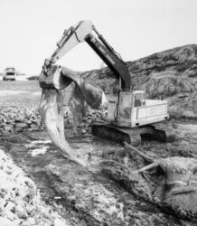 Kvalen Hvalborg 2. serie. Avis/pressebilde fra Romsdalsposte