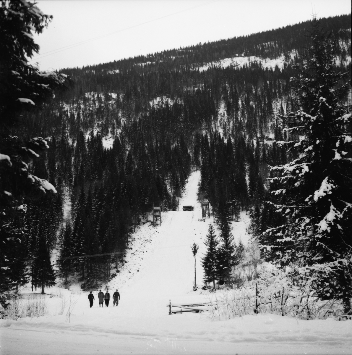 Vardens arkiv. "Foran Kviteseid Idr. landsrenn 25-27-28 d.m."  03-04.02.1954