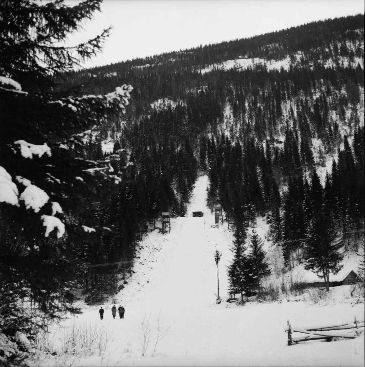 Vardens arkiv. "Foran Kviteseid Idr. landsrenn 25-27-28 d.m."  03-04.02.1954