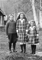 Søskenflokk på Strømsøyen Alvdal. Simen Olssen Strømsøyen, A