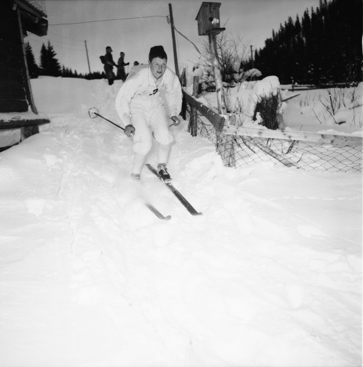 Vardens arkiv. "K.M. ski i Svartdal"  21.01.1954