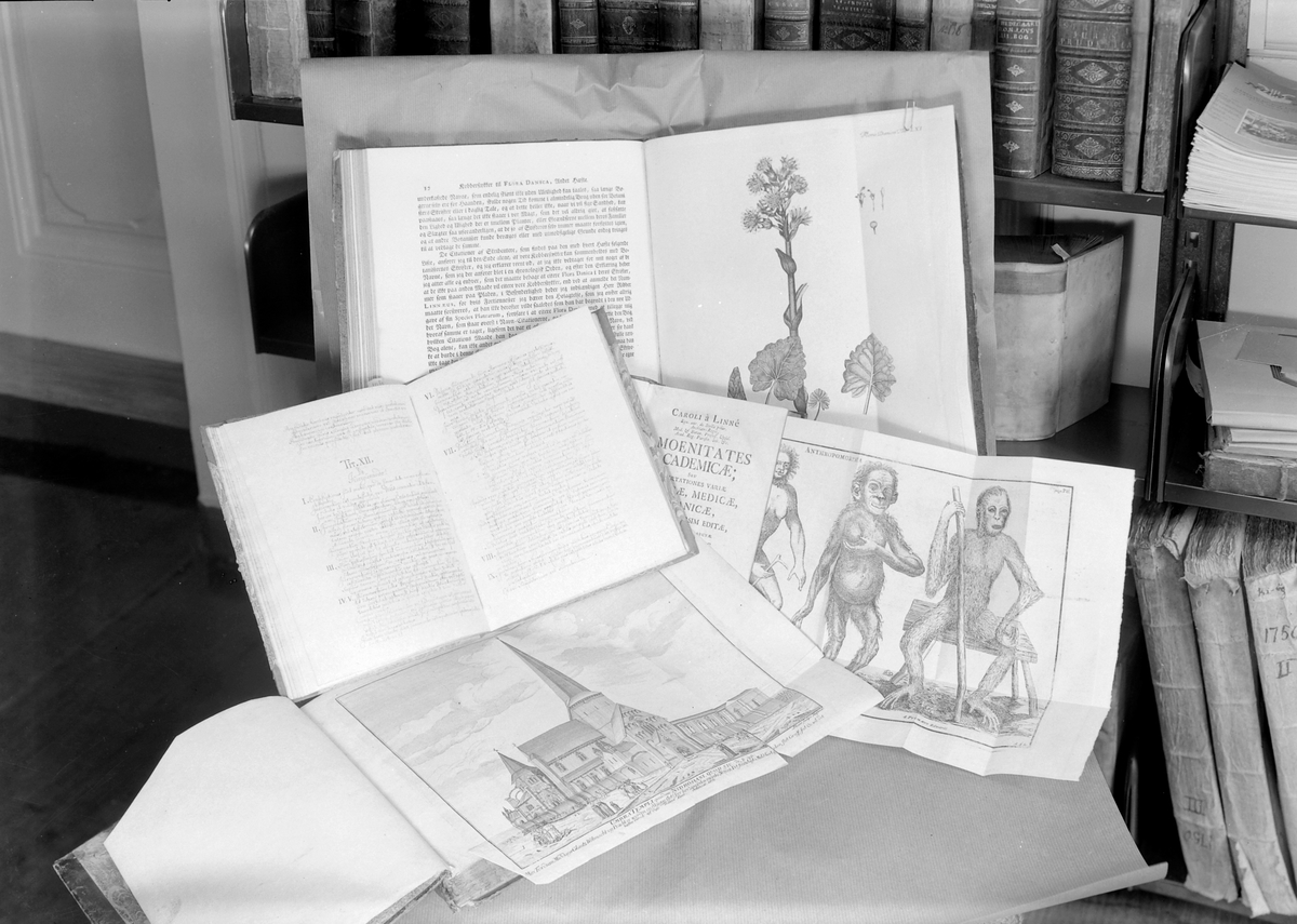 Bøker fra Søren Kleist sitt bibliotek og maleri av tidligere rektorer ved Trondheim Katedralskole