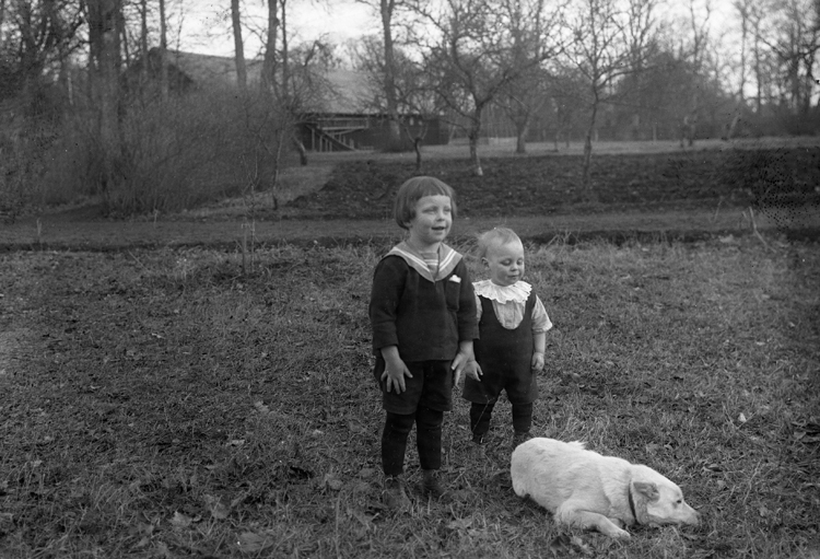 Två små pojkar står i en hage med en hund liggande framför sig.
I bakgrunden syns en ladugård.