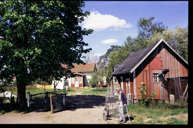 En rest av Lillestan. Björkelund, Gamla Norr i Växjö. Juni 1974.