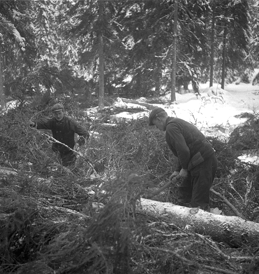 Timmerkörning, Lenhovda sn. 1945.