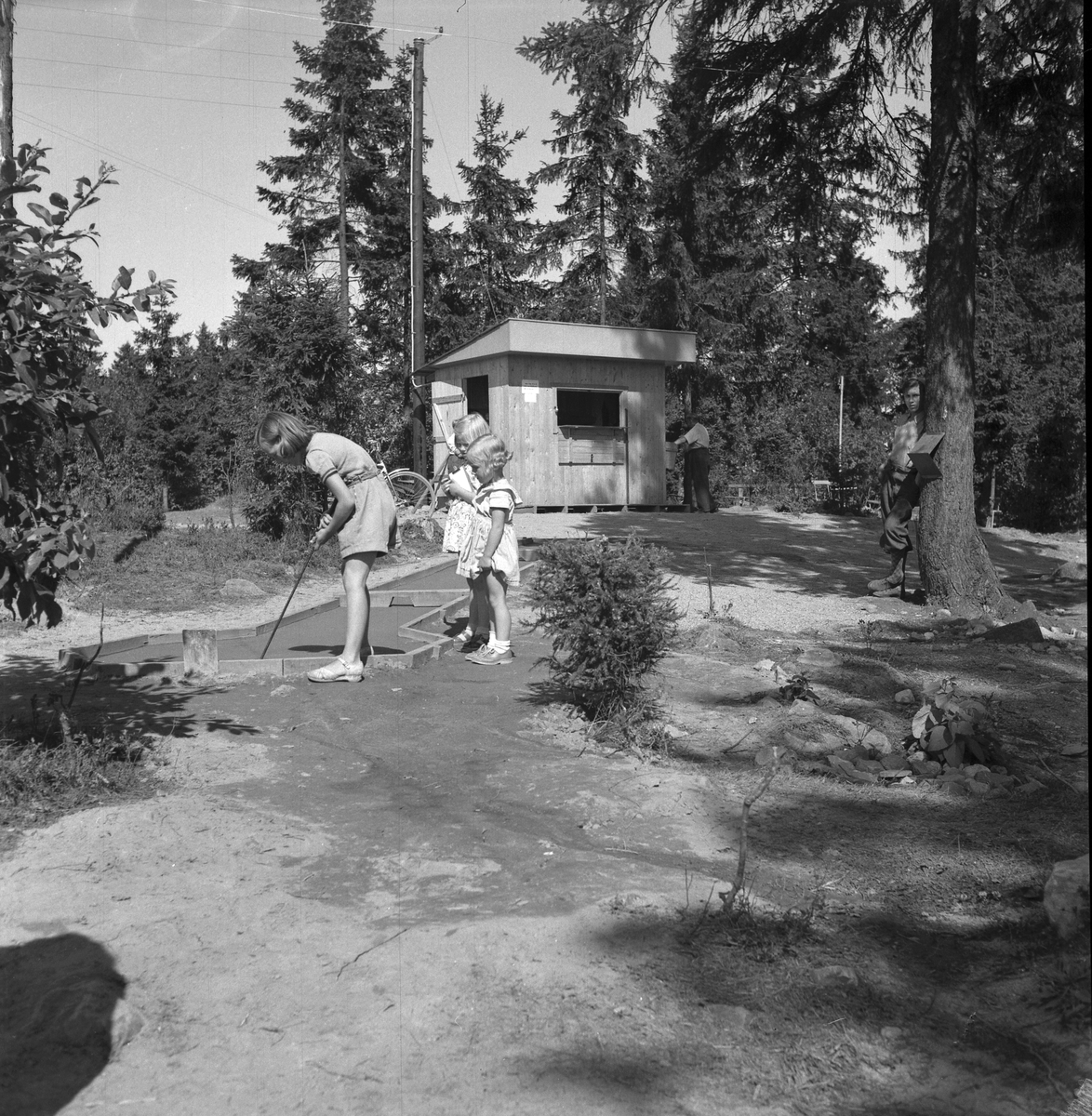 Golfbana, ny på Fjärran Höjder. Augusti 1950.