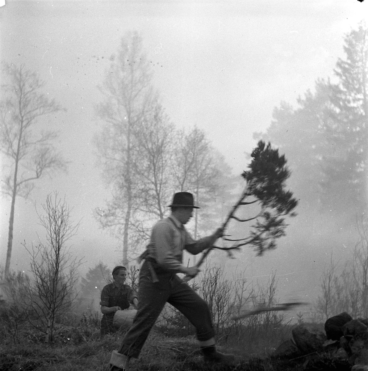 Skogsbrand Älvkarleby, Gårdskär med flera orter.       Maj 1949.