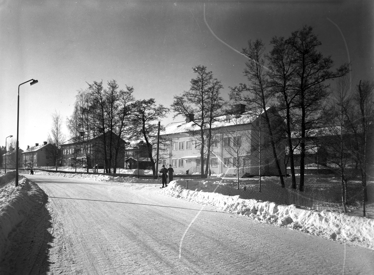 Bomhus. Korsnäs AB. Den 21 februari 1955. Det finns gott om sol och luft mellan företagets bostadshus och på vintern kunna barnen börja skidturen utanför dörren