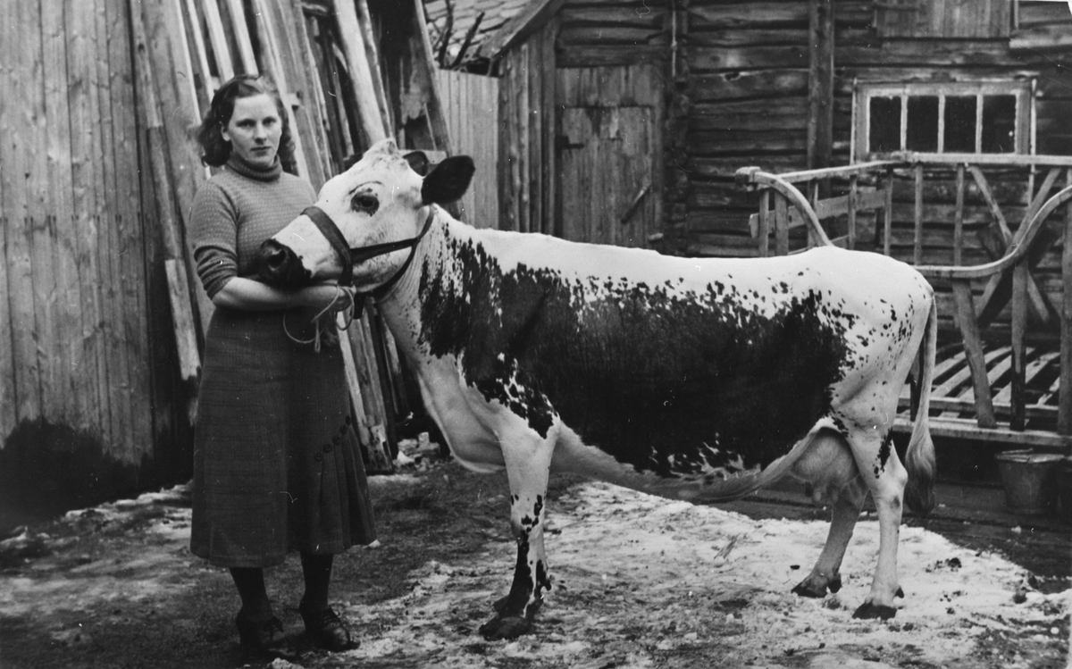 Ung kvinne og ei rørosku i et gårdsrom på Flanderborg, Røros 1938