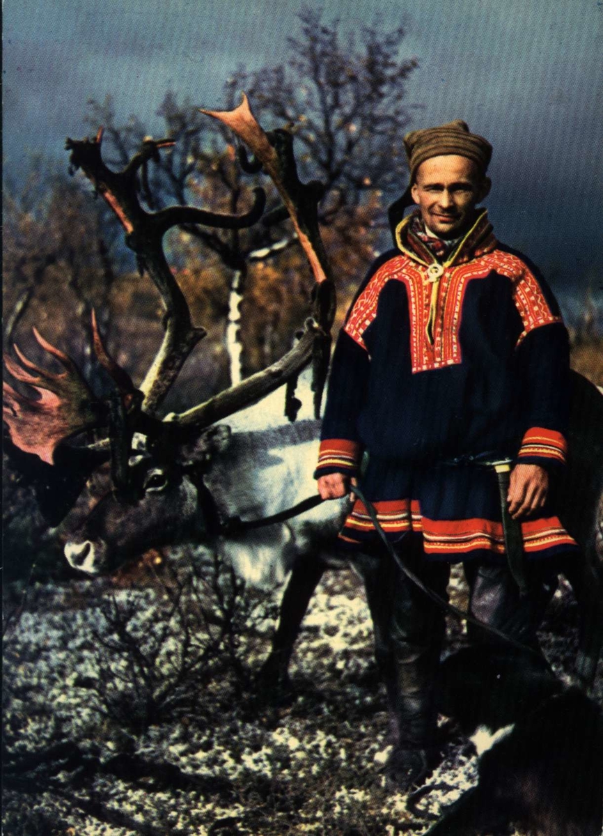 Postkort, Norsk Folkemuseum. Mann i samedrakt med reinsdyr.