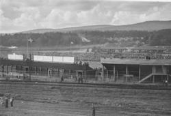 Ullevål stadion. Landskamp Norge-Sverige. Norge vant 2-1