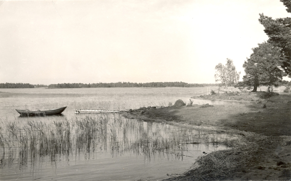 En badplats i Timmernabben med en brygga och en eka. -#N# Kalmar läns ...