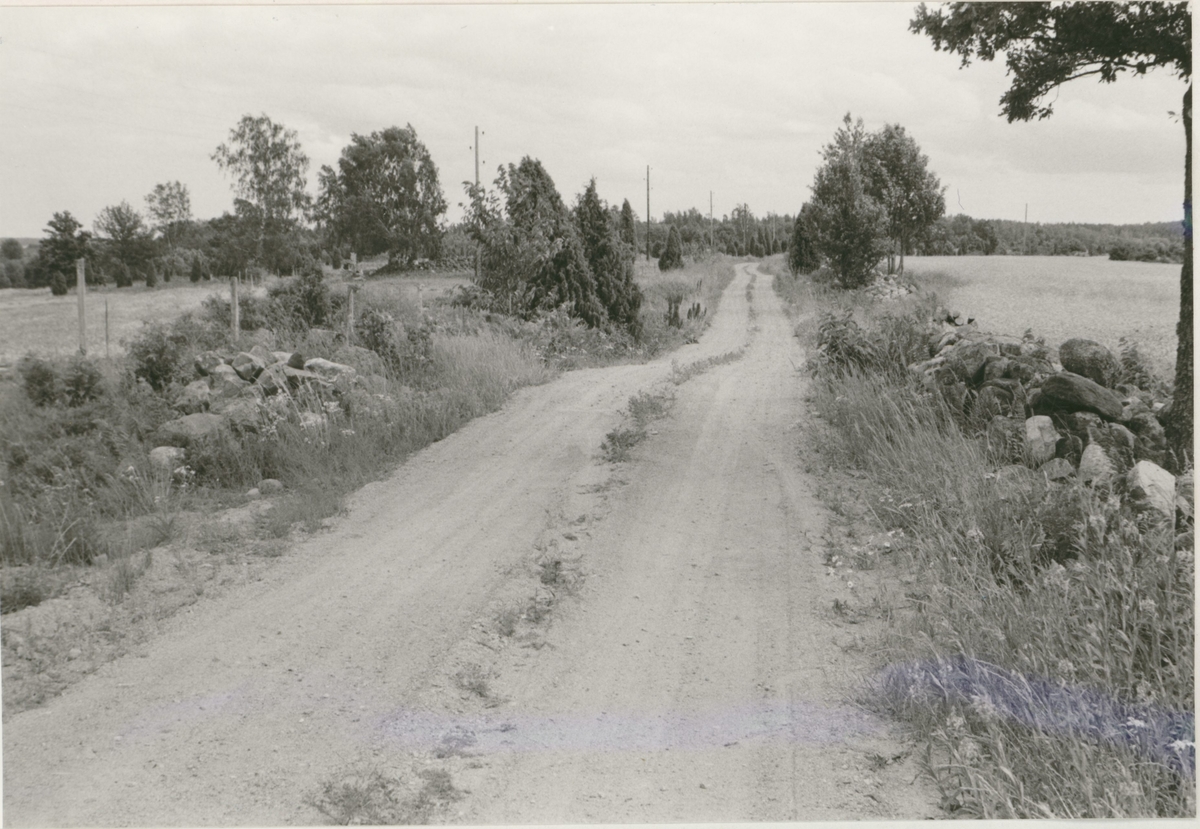 En grusväg i Dvärgstad utanför Gamleby.