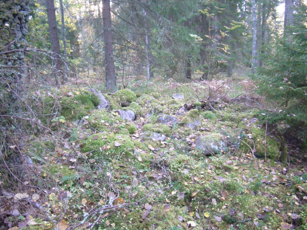Arkeologisk utredning, stensättning RAÄ 96:1, Rimbo-Tomta, Rimbo socken, Uppland 2015
