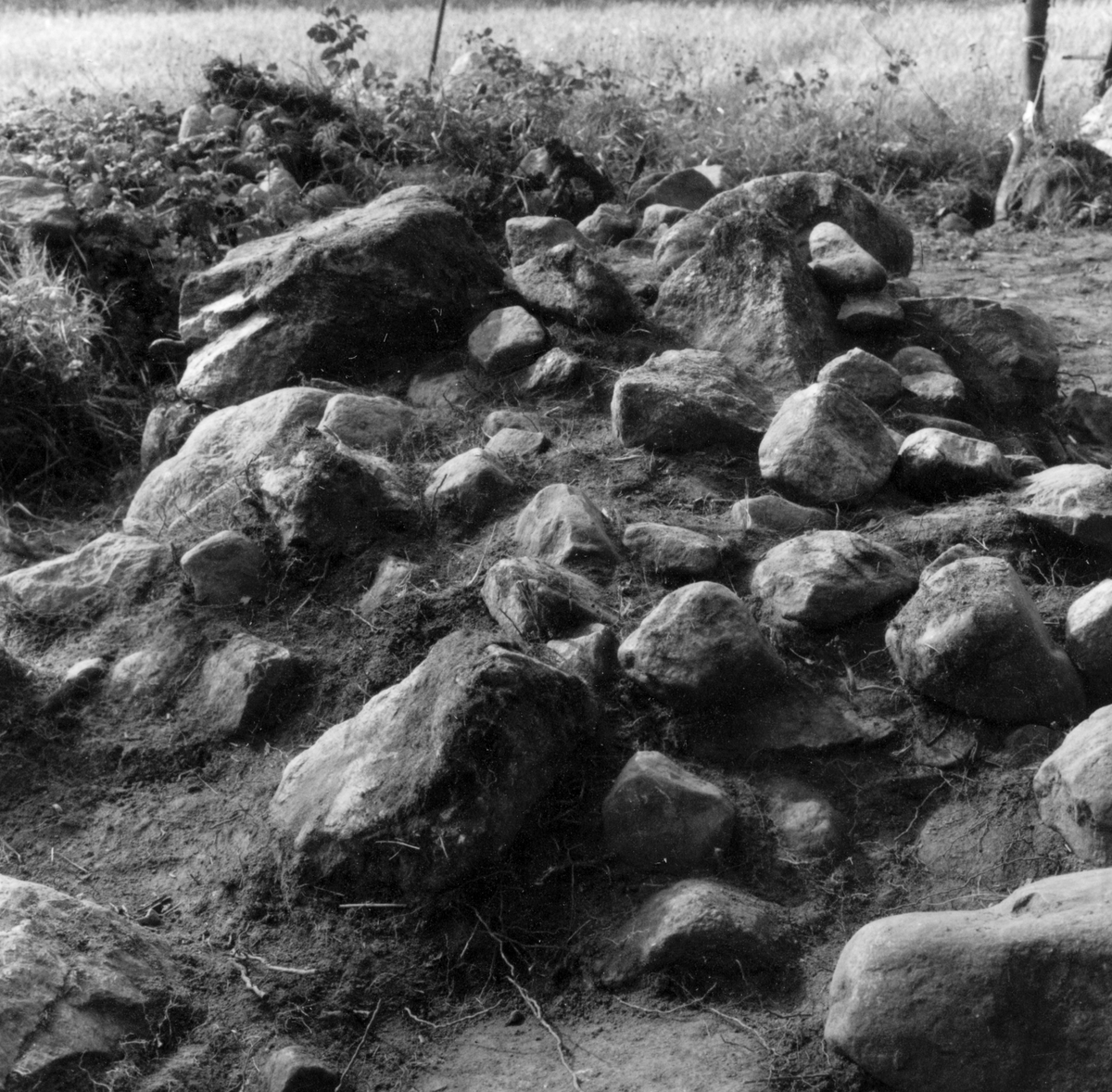 Utgrävningsbilder:
Röse i Ålbo, September 1969.