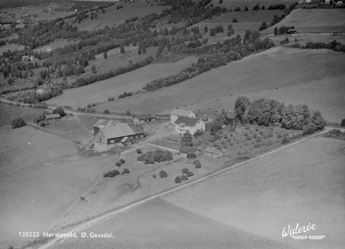 Nørstevold gård, Østre Gausdal, Gausdal, 1958, dalside, gårder, jordbruk, vei, blandingsskog, grunnlag for postkort