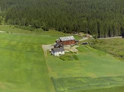 Bergestuen. Gårdsbruk. To stuer og driftsbygning. Dyrka mark