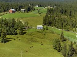 Kulturlandskap. Gårdsbruk bak i bildet. Blåmalt bolighus for