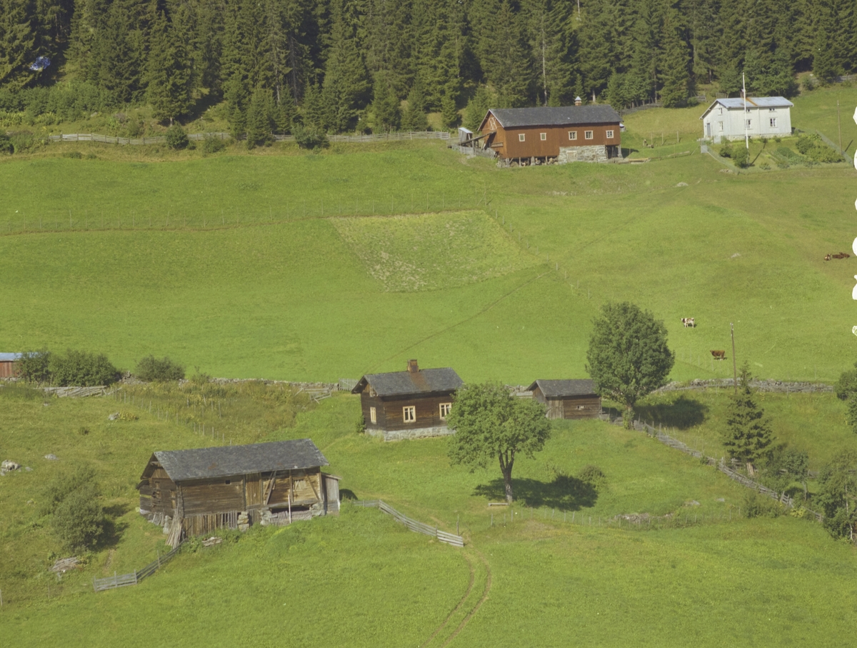 Østre Gausdal. I forgrunnen Sørhagen med gamle hus. Hagen småbruk bak