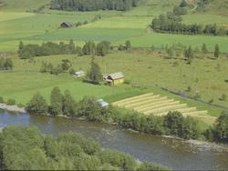 Gult lite bolighus, Skinnervollen elv foran, hesjer, Bødalen