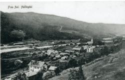 Ål Sentrum ca.1900.