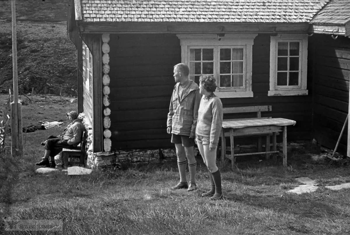.(eske5) .(Eske 5 er merket "Frøyset 1965, Veøya 1965, Nesset prestegard 1965, Fræna 1962, Otrøy 1963, en del uidentifisert")