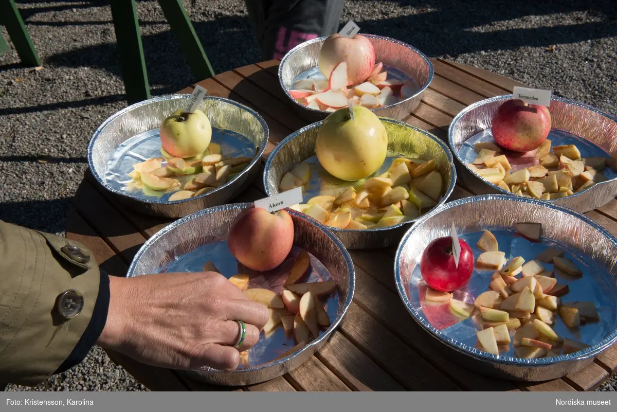 Äppeldagarna Julita 2015, Äpplen, marknad, butiken