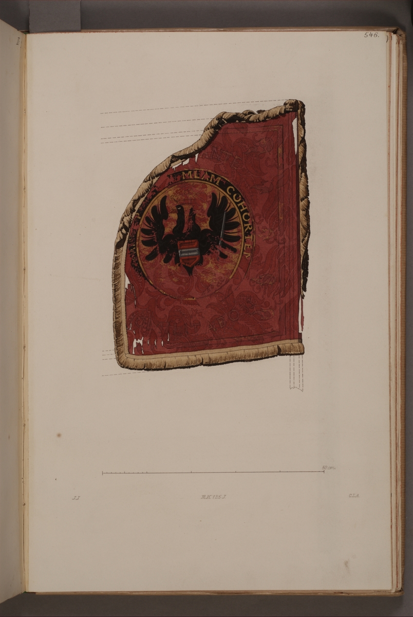 Avbildning i gouache föreställande fälttecken taget som trofé av svenska armén. Det avbildade standaret finns bevarat i Armémuseums samling, för mer information, se relaterade objekt.