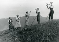 Frå slåttonn i 1930-åra.